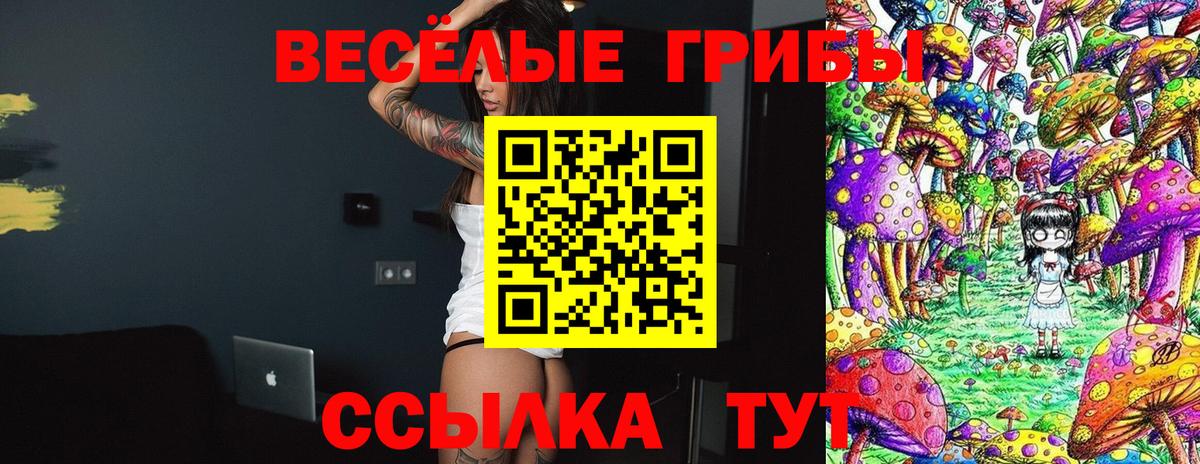 Галлюциногенные грибы GOLDEN TEACHER  Галлюциногенные грибы ЛСД  Кимовск  Вход с VPN 